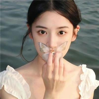 极岛森林第二季